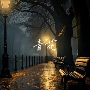 欧美性生活dvd视频
