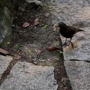 欧美性生活dvd视频
